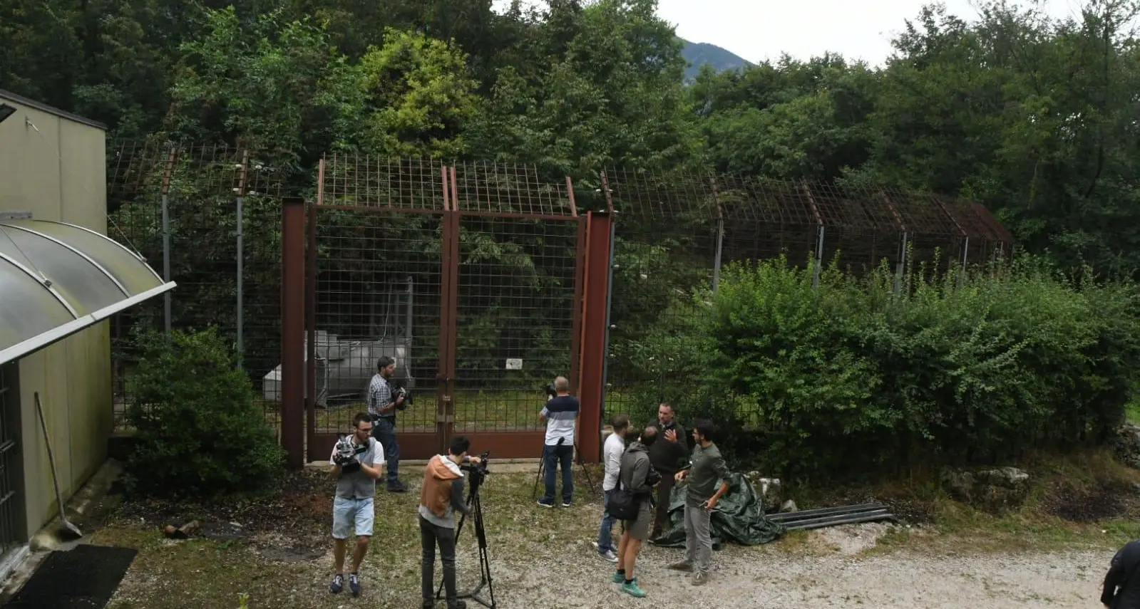 Orso M49, Life for Ursus: \"Finirà come King Kong\"