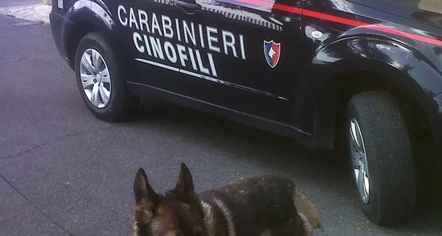 Banda di ragazzini spaccia a scuola