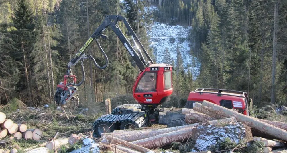 Vaia, in Alto Adige raccolta la metà degli alberi schiantati