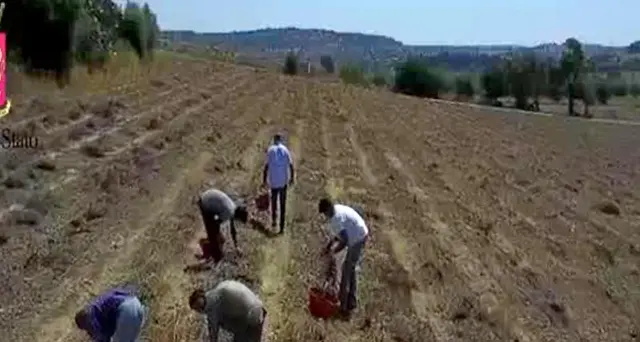 Lancio pietre contro braccianti,3 feriti