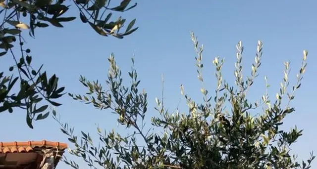 Esplode palazzina Elba: dispersa è morta