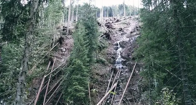 Vaia, 12 milioni per la rimozione del legname in Alto Adige