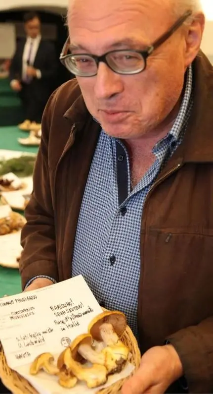 Soffrono anche i funghi, la stagione ancora non parte