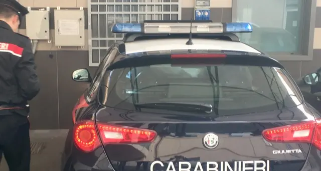 Colpito cassonetto,probabile gesto folle