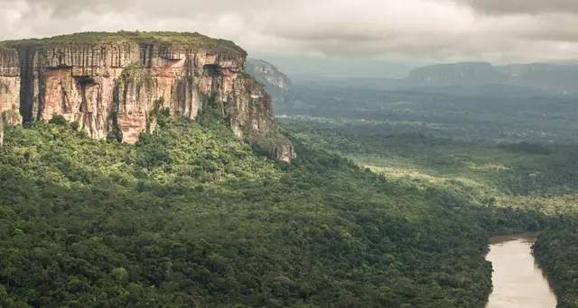 Amazzonia: scontro Macron-Bolsonaro