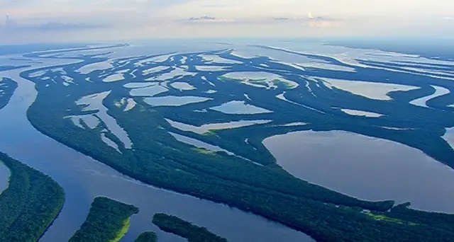 Amazzonia: sì Bolsonaro a uso esercito