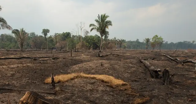 Amazzonia, Brasile rifiuta 20 milioni G7