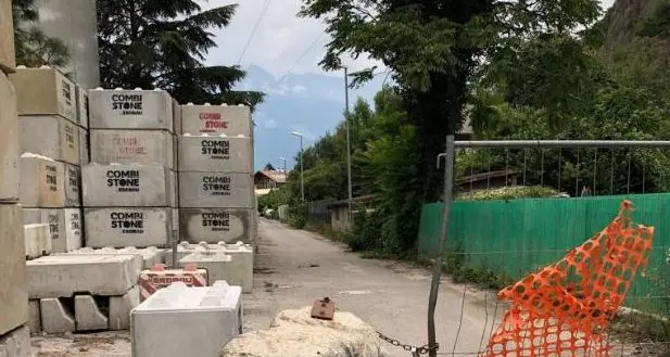 Cemento soffoca gli alberi nella via “privatizzata”