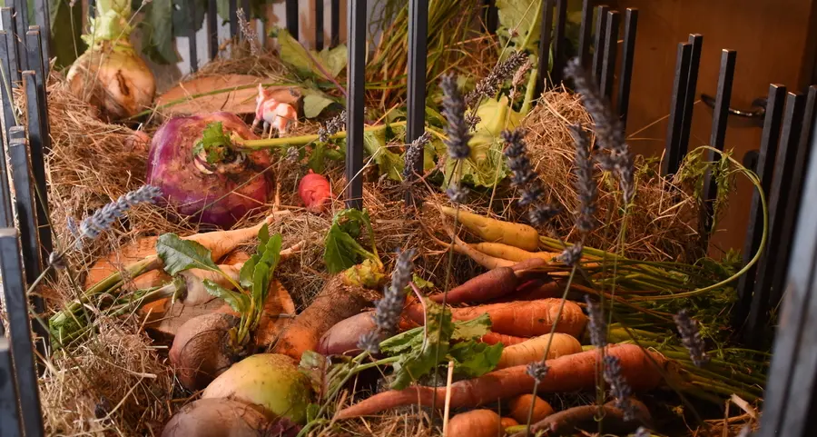 I contadini etici che danno nuova vita a frutta e verdure