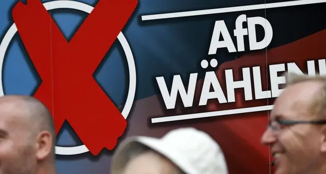 Germania, Afd verso successo a est