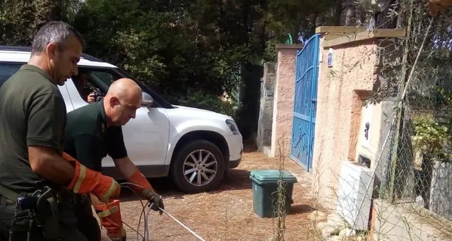 Ritrovato il caimano Jack a Orosei