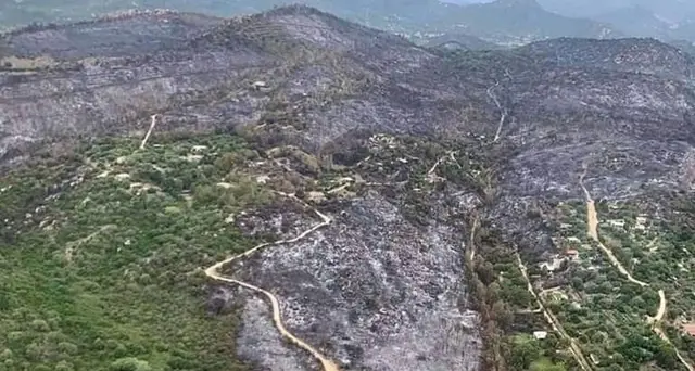 Incendi nel Nuorese, c'è un indagato