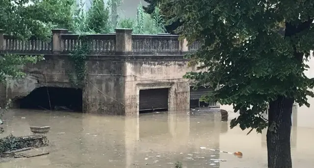 Chiesto processo per Nogarin