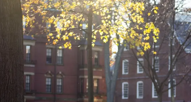 Harvard ammette donazioni da Epstein