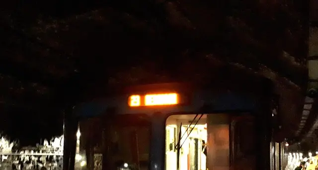 Guasto alla metro di Roma: utenti a piedi in galleria