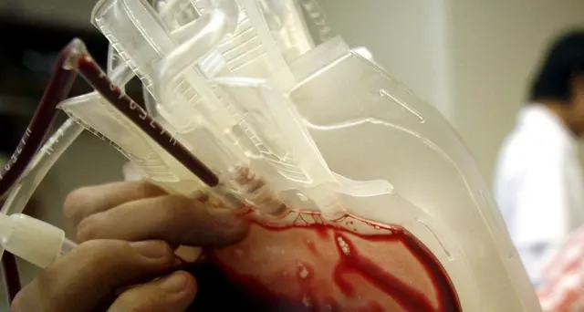 Morta per errata trasfusione di sangue