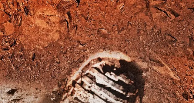 Luna: Giunta Roma,cittadinanza a Collins