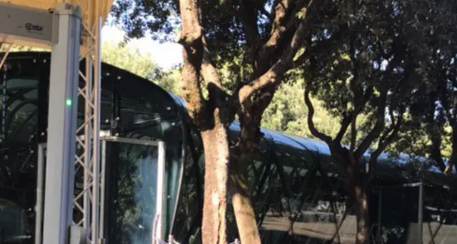 Pompei, rafforzato servizio sicurezza