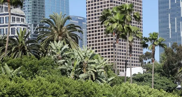 Senzatetto a Los Angeles, è emergenza