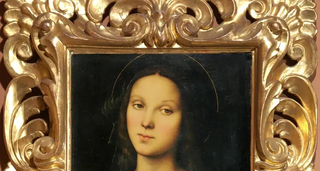 Raffaello, da Urbino alla modernità