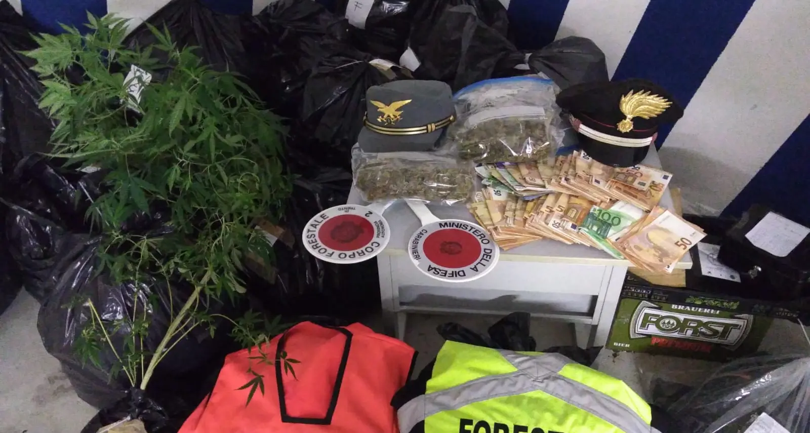 Gli trovano in casa 94 chili di marijuana, in manette un 47enne di Pergine