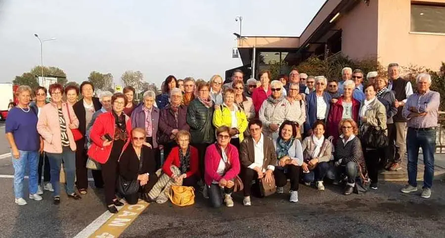 Da Pineta a Parma in compagnia