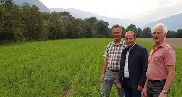Vaia, i boschi del Trentino Alto Adige ricrescono in Tirolo
