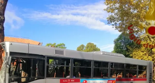 Bus contro albero: indagato l'autista