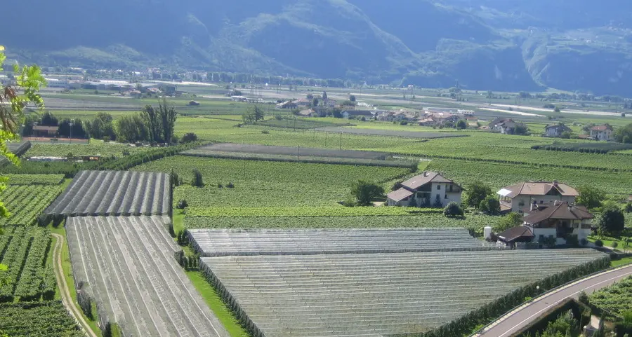 Redditi dichiarati, nella Bassa gli acciacchi dell’agricoltura
