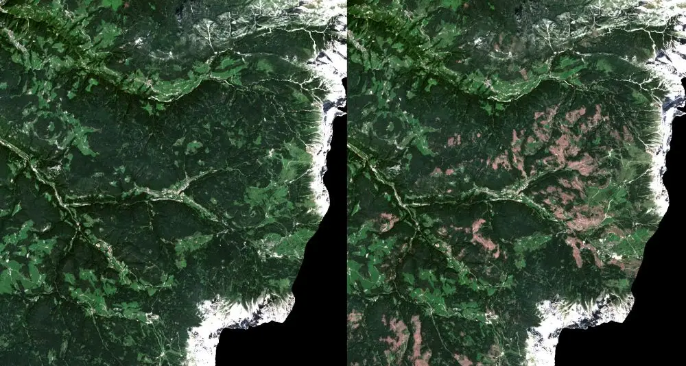 Vaia, i danni ben visibili dalle immagini satellitari