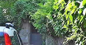 Rami su ciclabili e marciapiedi Cartellino giallo dell’Asm