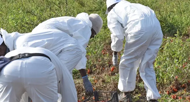 Papa, grazie intesa S.Severo su migranti