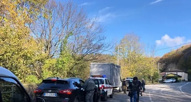 Chiuso tratto A11, 16 caprioli catturati