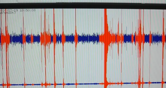 Sisma 7.4 in Indonesia, allerta tsunami