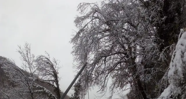 Maltempo, isolate vaste zone Alto Adige