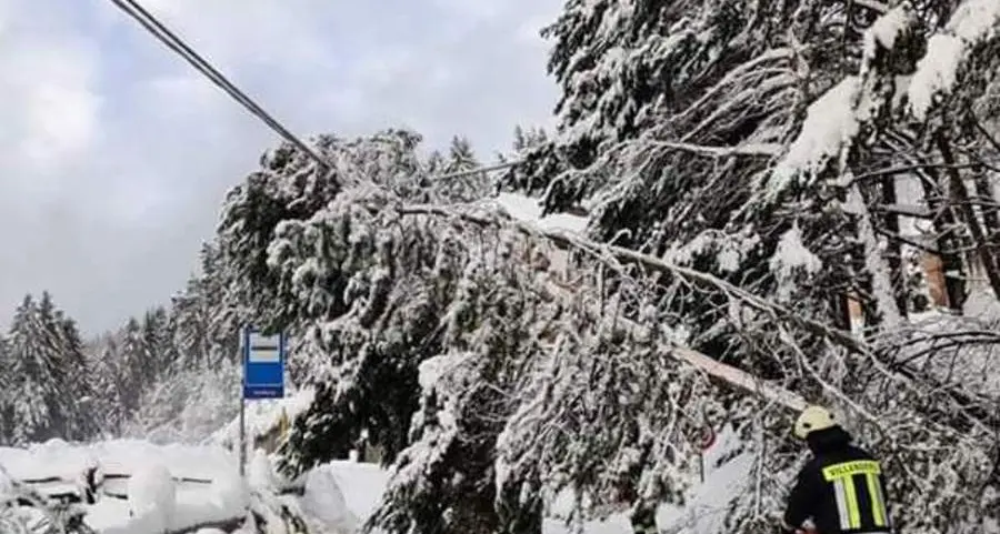 Alberi caduti, strade in tilt Decine di sos per i pompieri
