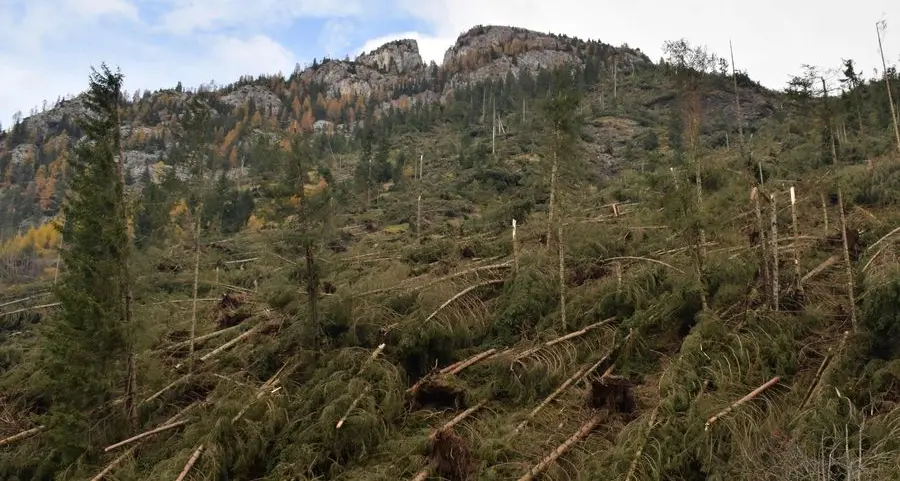 Tempesta Vaia, un anno dopo Incontro con il climatologo