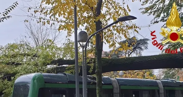 Grosso albero cade su tram a Milano
