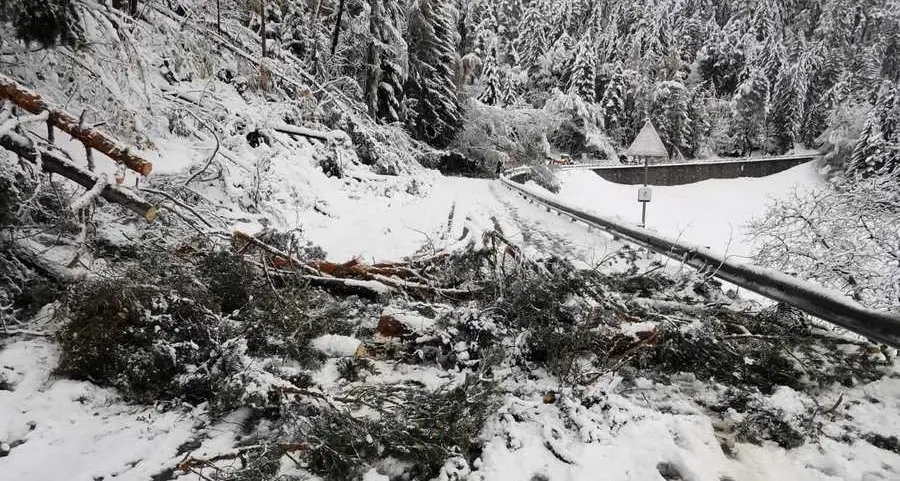 Paura maltempo, scuole chiuse stamattina a Eores