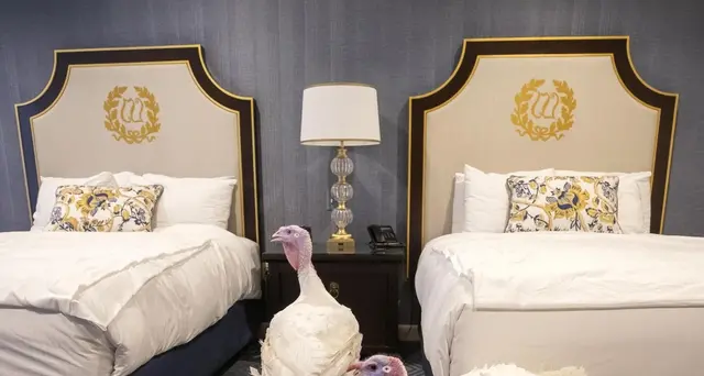 Thanksgiving, Trump grazierà un tacchino