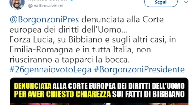Affidi: Salvini, si scusi chi ha coperto