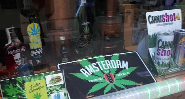 Cannabis assolti titolari negozio Ancona