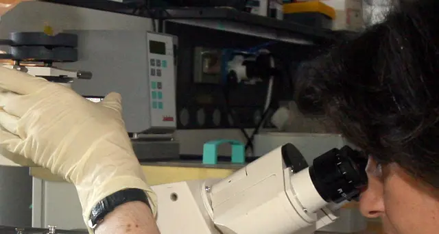 Oltre 450mila autonomi sono 'dipendenti'