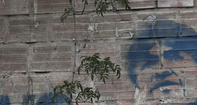 Morales è a Buenos Aires, chiederà asilo