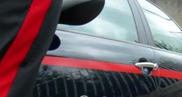 'Ndrangheta, maxi blitz dei carabinieri: 334 arresti