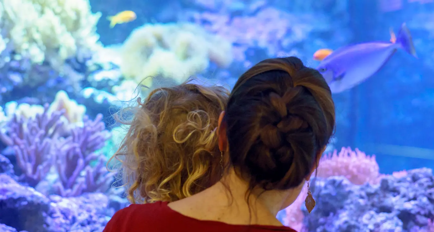 Trento, il Muse nella rete dei musei dell'acqua