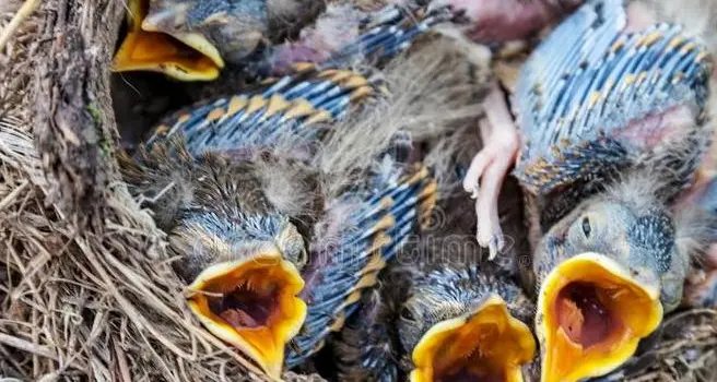 Clima e siccità, l’allarme parte dalla val di Mazia
