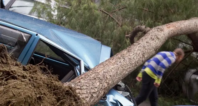 Albero cade a Napoli, un morto