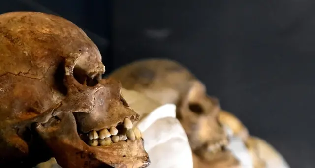 La Pompei intima di Giulio Polibio