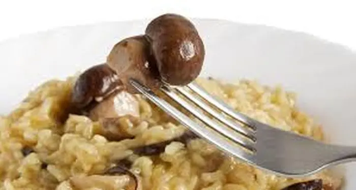 Escursione in Alto Adige, sette intossicati da funghi